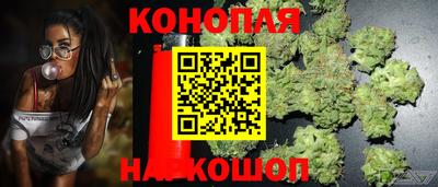 шишки Бузулук