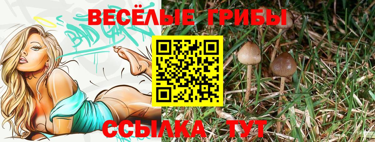 Галлюциногенные грибы MAGIC MUSHROOMS  Вход с VPN  Салават  Псилоцибиновые грибы GOLDEN TEACHER 